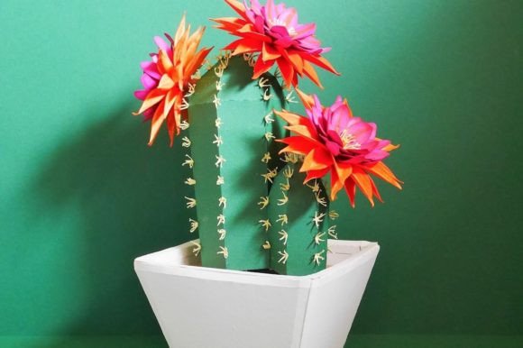 Echinopsis Cactus: A Fresh Take on Botanical Embroidery